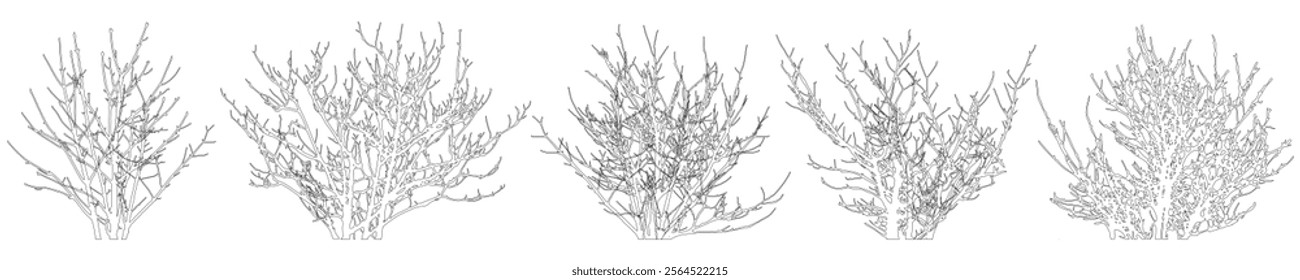 Bare bush set, contours. Vector illustration