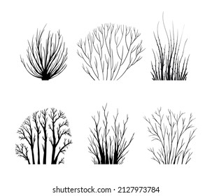 Bare bush silhouettes set, leafless bushes isolated on white, various shrubs without leaves in winter or autumn