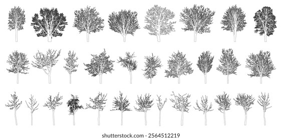 Bare deciduous trees contours, set. Beautiful different leafless trees.  Vector illustration