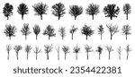 Bare deciduous trees silhouette, set. Beautiful different leafless trees.  Vector illustration