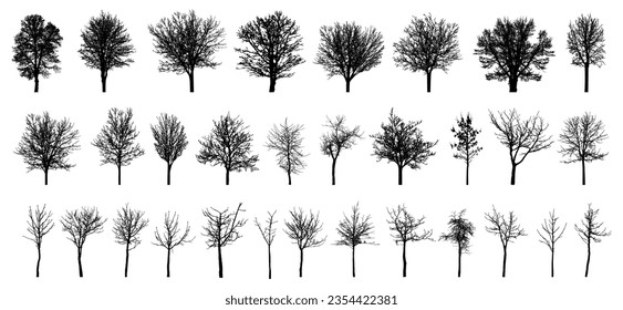 Bare deciduous trees silhouette, set. Beautiful different leafless trees.  Vector illustration svg