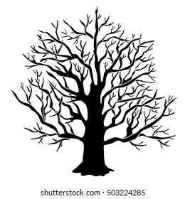 Bare, dry tree black hand drawn isolated on white background