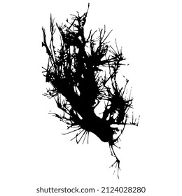 Bare dry winter tree or bush with dead naked branches. Blown blot ink spot. Black silhouette on white background.