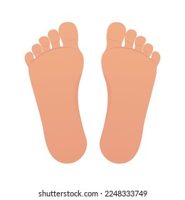 Bare Feet isolated vector illustration cartoon graphic