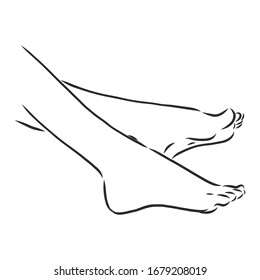 bare female feet, vector sketch illustration 