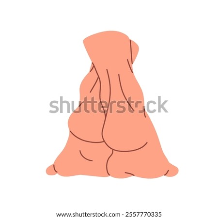 Bare human feet stand on toes back side view. Barefoot female legs on tiptoes behind. Anatomy of soles, heels. Podiatry, pedicure, SPA procedures. Flat isolated vector illustration on white background