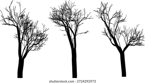 Trío desnudo de las siluetas del árbol sin hojas aislado en el fondo blanco