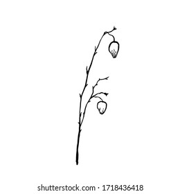 Вry bare simple not perfect black branch silhouette with the heads of dry buds lowered. Icon illustration isolated on white. Hand drawing vector asia sign, symbol. 