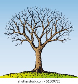 Bare tree