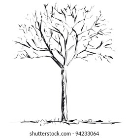 Bare tree