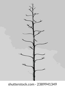 Bare tree against isolated on monochrome background, clipping path. dead christmas tree, realistic vector illustration