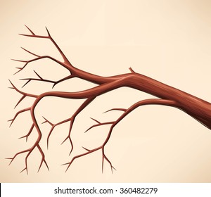 Bare tree branch