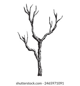 bare Tree branch silhouette dark black hand drawn doodle vector isolated on white background.