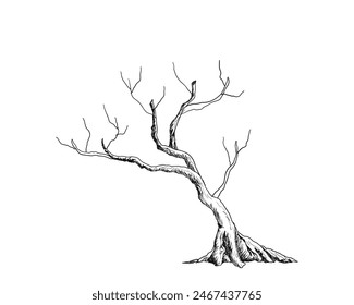 bare Tree branch silhouette dark black hand drawn doodle vector isolated on white background.