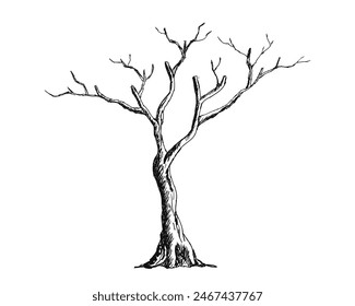 bare Tree branch silhouette dark black hand drawn doodle vector isolated on white background.