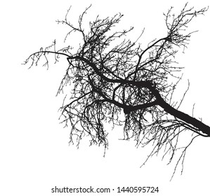 Bare tree branch silhouette on white background. Tree branch without foliage. Vector illustration