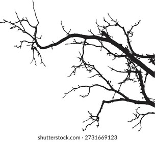 Silhueta de galho de árvore nua com galhos torcidos no fundo branco. Esboço botânico preto mínimo mostrando estrutura orgânica natural. Perfeito para temas de natureza, desenhos sazonais e gráficos decorativos minimalistas. 