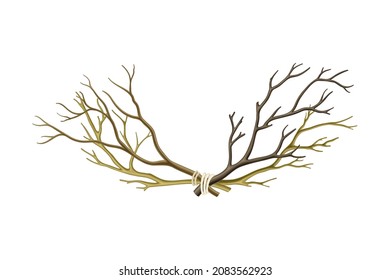 Bare Tree Branch Tied in Semi Circle Vector Illustration