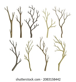 Bare Tree Branch or Twigs with Naked Stem and Snag Vector Set