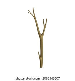 Bare Tree Branch or Twigs with Naked Stem and Snag Vector Illustration