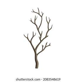 Bare Tree Branch or Twigs with Naked Stem and Snag Vector Illustration