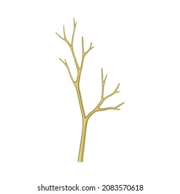 Bare Tree Branch or Twigs with Naked Stem and Snag Vector Illustration