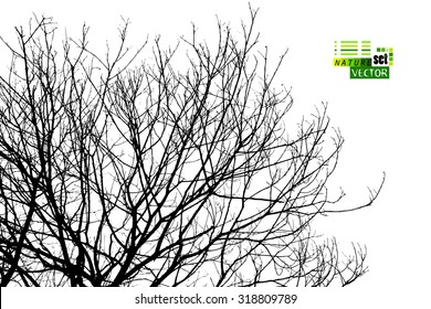 bare tree branches. Vector