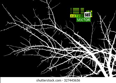 bare tree branches. Vector