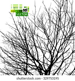 bare tree branches. Vector