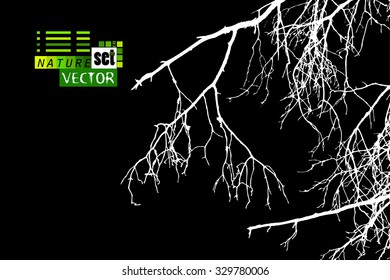 bare tree branches. Vector
