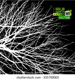 bare tree branches. Vector