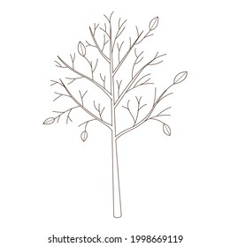 Un árbol desnudo con hojas caídas. Elemento botánico, de diseño de planta con contorno. Doodle, dibujado a mano. Diseño plano. Ilustración vectorial blanca negra. Aislado sobre un fondo blanco