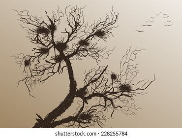 Bare tree with flying birds. Vector