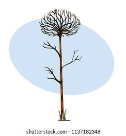 Bare tree in hand drawn, sketch style. Landscape element for game design and animation. Vector illustration isolated on white background.