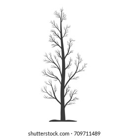 Bare tree icon. Tree trunk with branches and without leaves. Vector illustration