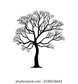 Bare tree isolated on white background