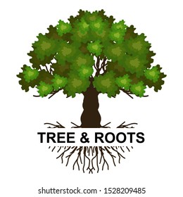 A bare tree with isolated roots on a white background, suitable for logo design and the environment