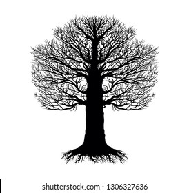 Bare Tree Isolated Vector Illustration