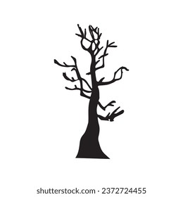 Bare tree on white background