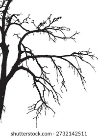 Silhueta de árvore nua com membros ramificados e galhos finos em fundo branco. Forte forma botânica preta com estrutura natural dramática. Ideal para conceitos de natureza, temas sazonais e designs gráficos minimalistas. 