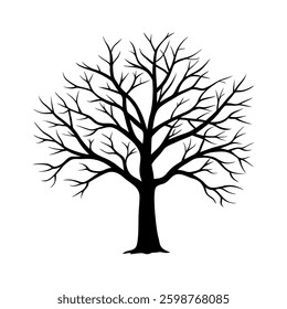 bare tree silhouette illustration isolated on white background.	