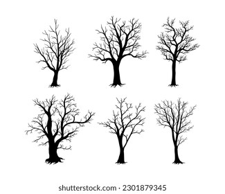 Silueta de árbol desnudo aislada sobre fondo blanco
