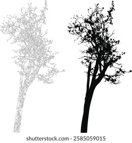 Bare Tree Silhouette Isolated on White Vector illustration in stroke fill in white. Tropical	