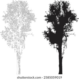 Bare Tree Silhouette Isolated on White Vector illustration in stroke fill in white. Tropical	