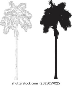 Bare Tree Silhouette Isolated on White Vector illustration in stroke fill in white. Tropical	
