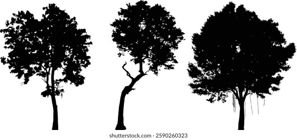 Bare Tree Silhouette Isolated on White Vector illustration in stroke fill in white. Tropical	