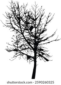 Bare Tree Silhouette Isolated on White Vector illustration in stroke fill in white. Tropical	