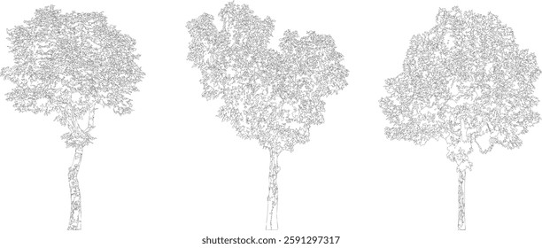 Bare Tree Silhouette Isolated on White Vector illustration in stroke fill in white. Tropical	