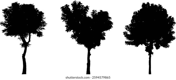 Bare Tree Silhouette Isolated on White Vector illustration in stroke fill in white. Tropical	