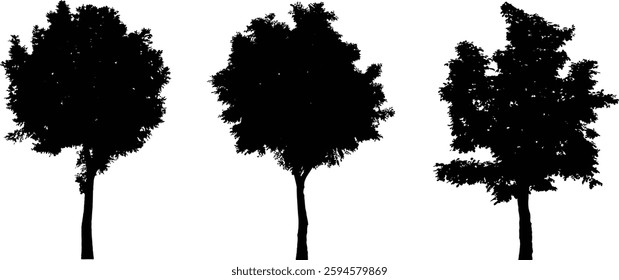 Bare Tree Silhouette Isolated on White Vector illustration in stroke fill in white. Tropical	